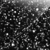 Finitura Glitter Argento - Kit Grafiche Fantic 179